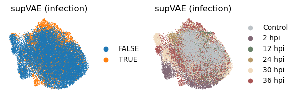 ../_images/tutorials_tutorial_scrna_vae_70_0.png