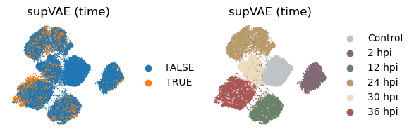 ../_images/tutorials_tutorial_scrna_vae_70_1.png
